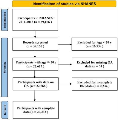 Association between body roundness index and osteoarthritis: a cross-sectional analysis of NHANES 2011–2018